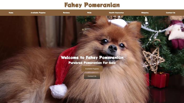 Faheypomeranian.com - Pomeranian Puppy Scam Review