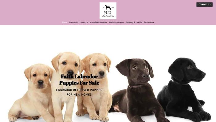 Faithfullabradorpuppies.com - Labrador Puppy Scam Review