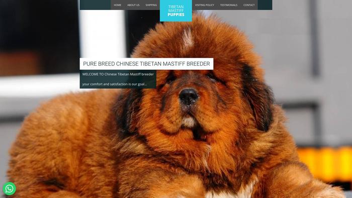 Familytibetanmastiff.online - Tibetan Mastiff Puppy Scam Review