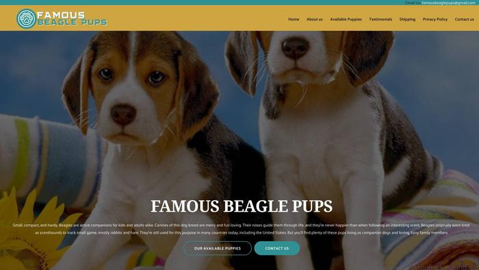 Famousbeaglepups.com - Beagle Puppy Scam Review