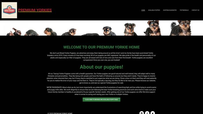 Fancypremiumpuppies.com - Yorkshire Terrier Puppy Scam Review