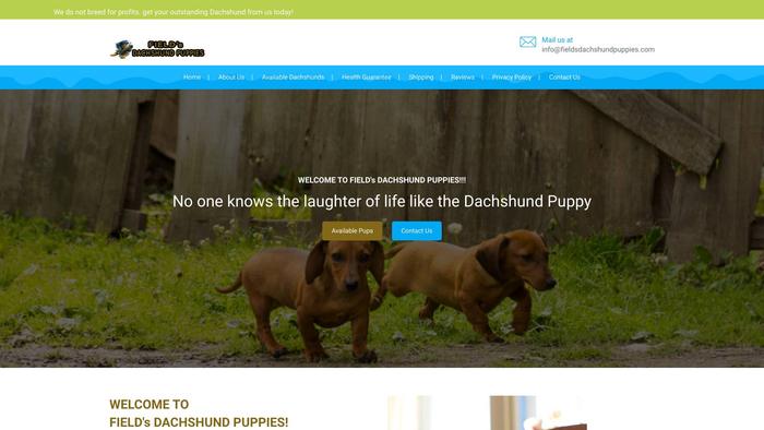 Fieldsdachshundpuppies.com - Dachshund Puppy Scam Review