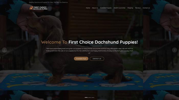 Firstchoicedachshundpuppies.com - Dachshund Puppy Scam Review