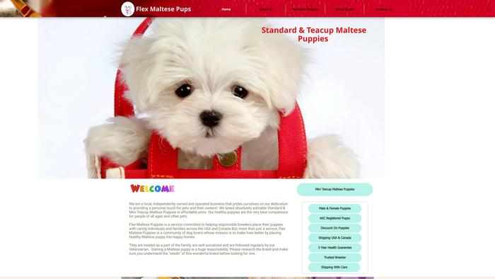 Flexmaltesepups.com - Maltese Puppy Scam Review