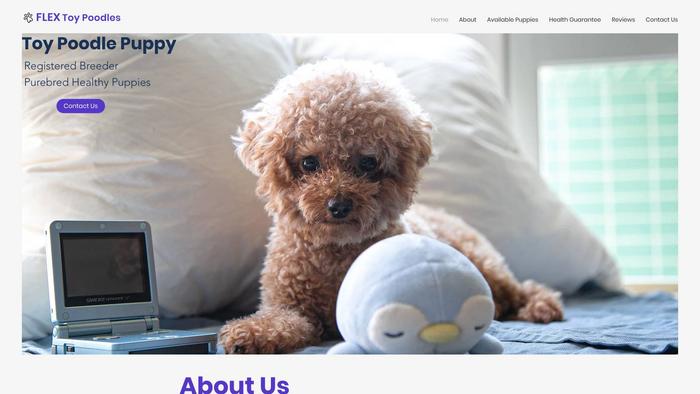 Flextoypoodles.com - Poodle Puppy Scam Review