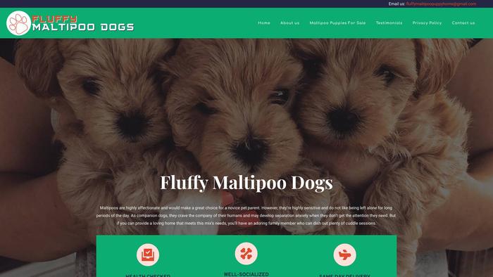 Fluffymaltipoodogs.com - Maltipoo Puppy Scam Review