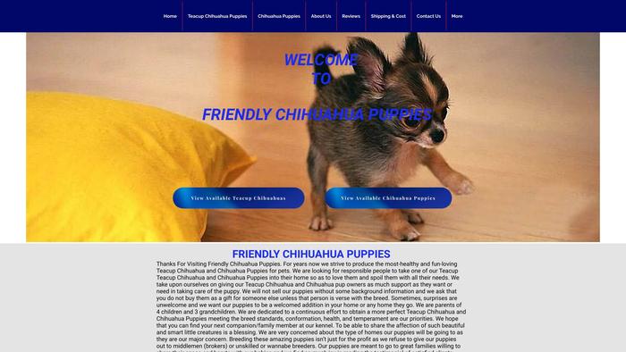 Friendlychihuahuas.com - Chihuahua Puppy Scam Review