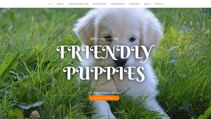 Friendlygoldenretrieverpups.com - Golden Retriever Puppy Scam Review