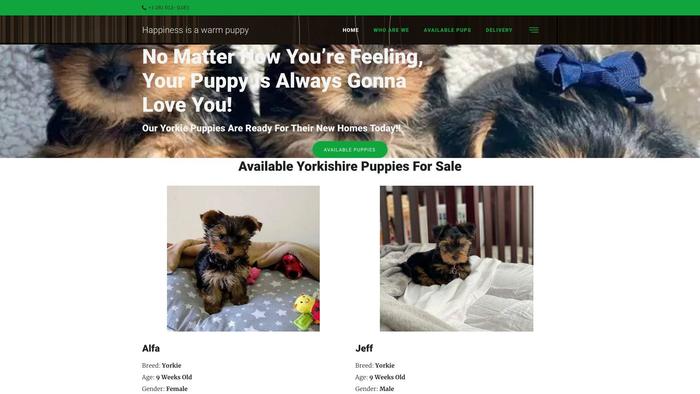 Furryyorkie.com - Yorkshire Terrier Puppy Scam Review