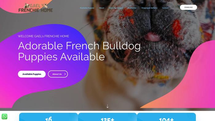 Gaelfrenchie.com - French Bulldog Puppy Scam Review