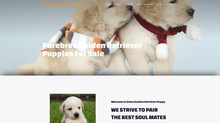 Geluzgoldenretriever.com - Golden Retriever Puppy Scam Review