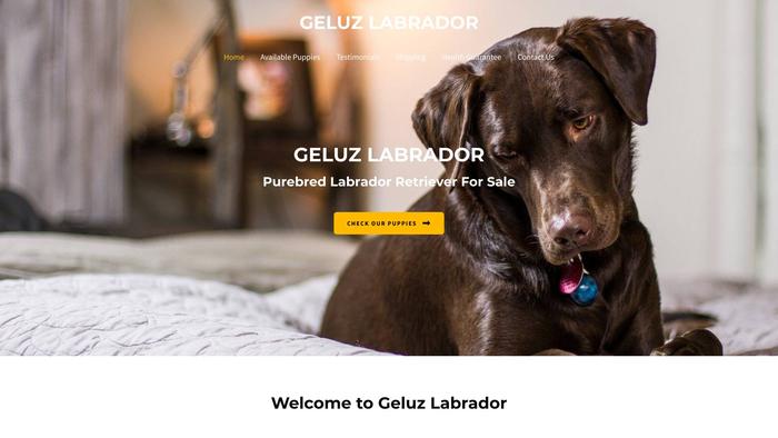 Geluzlabrador.com - Labrador Puppy Scam Review