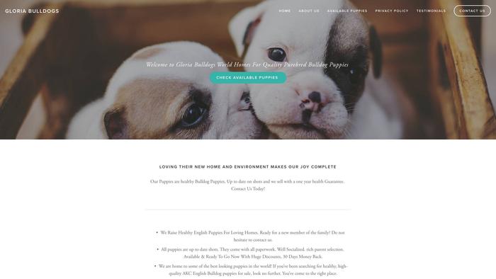 Gloriabulldogsworld.com - Bulldog Puppy Scam Review