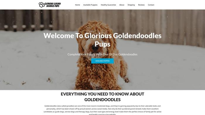 Gloriousgoldendoodlespups.com - Golden Doodle Puppy Scam Review