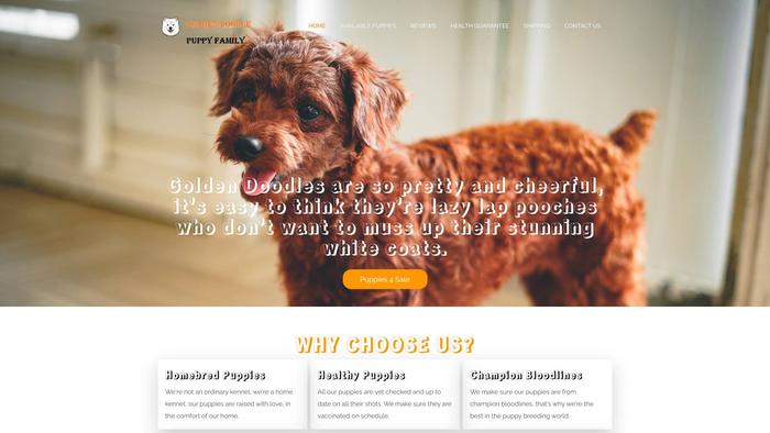 Goldendoodlepuppyfamily.com - Golden Doodle Puppy Scam Review