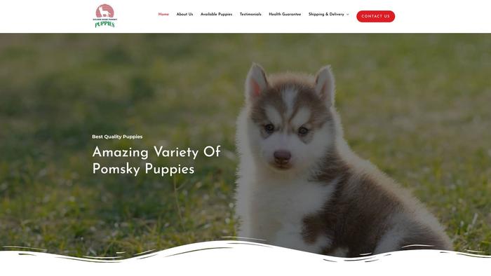 Goldenhomepomskies.com - Pomeranian Puppy Scam Review