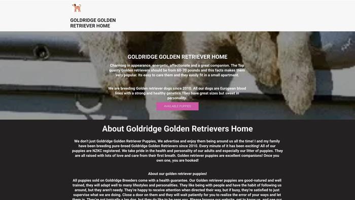 Goldridgegoldenretrievers-nz.com - Golden Retriever Puppy Scam Review