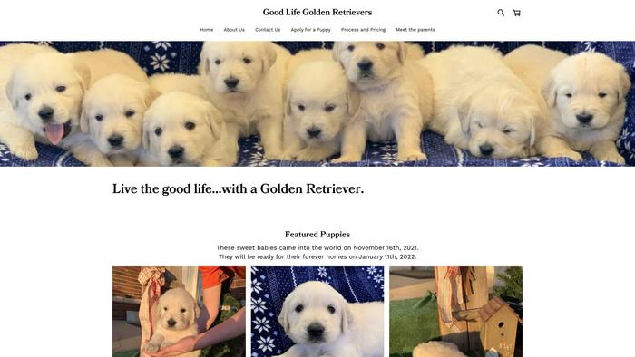 Goodlifegoldenretrievers.com - Golden Retriever Puppy Scam Review