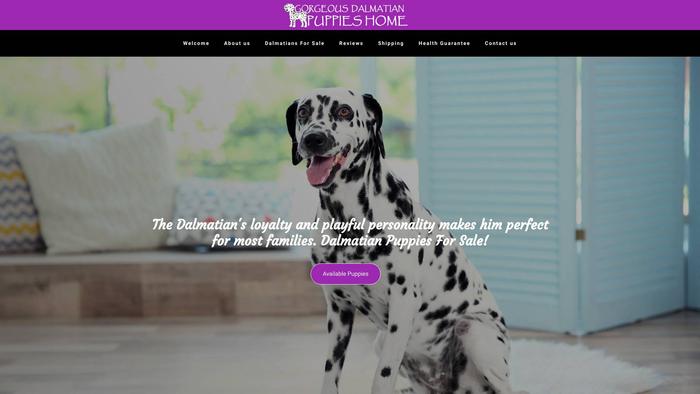 Gorgeousdalmatianpuppieshome.com - Labrador Puppy Scam Review