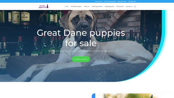 Greatdanespuppiesforsale.com - Great Dane Puppy Scam Review