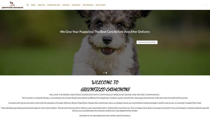 Greenfieldcavachon.com - Cavachon Puppy Scam Review