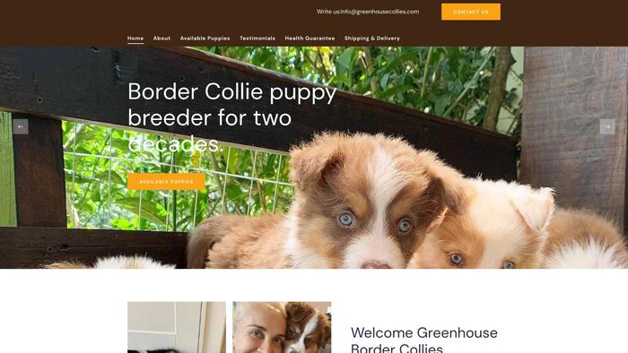 Greenhousecollies.com - Bordercollie Puppy Scam Review