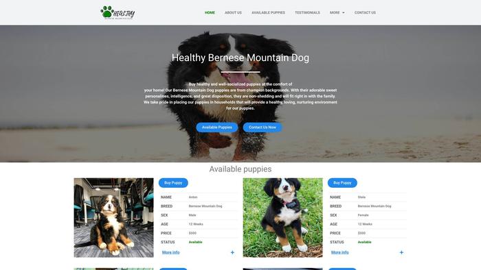 Healthybernesemountaindog.com - Bernese Mountain Dog Puppy Scam Review