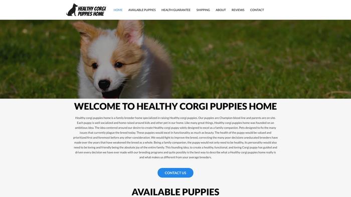 Healthycorgipuppieshome.com - Corgi Puppy Scam Review