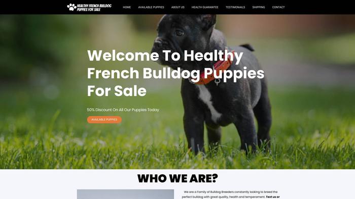 Healthyfrenchbulldogpuppiesforsale.com - French Bulldog Puppy Scam Review