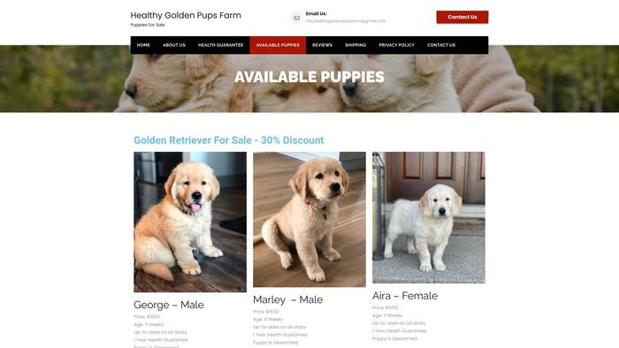 Healthygoldenpupsfarm.com - Golden Doodle Puppy Scam Review