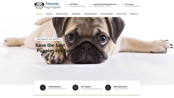 Heavenlypugpuppies.com - Pug Puppy Scam Review