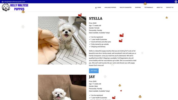 Hellymaltesepuppies.com - Maltese Puppy Scam Review