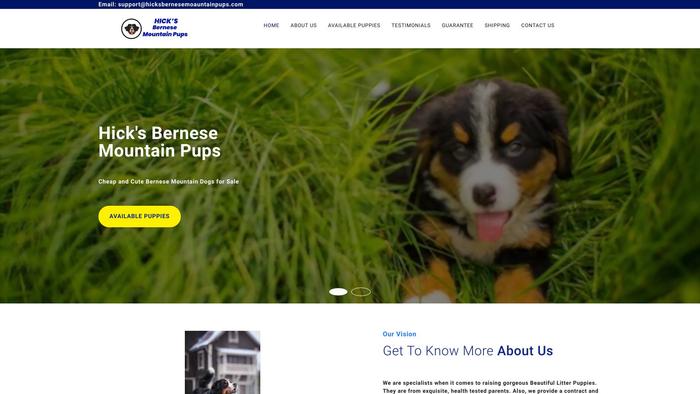 Hicksbernesemoauntainpups.com - Bernese Mountain Dog Puppy Scam Review