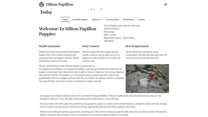 Hiltonpapillonpups.com - Papillon Puppy Scam Review