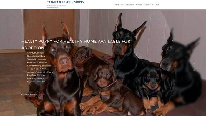 Homeofdobermans.com - Doberman Pinscher Puppy Scam Review