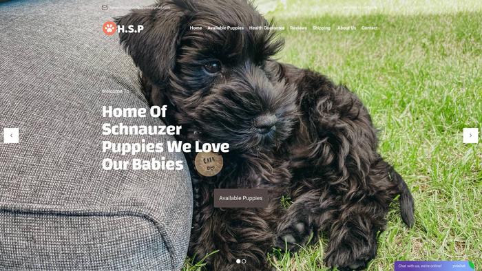 Homeofschnauzerpuppies.com - Schnauzer Puppy Scam Review