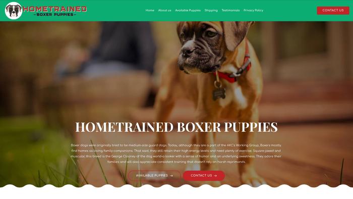 Hometrainedboxerpuppies.com - Boxer Puppy Scam Review