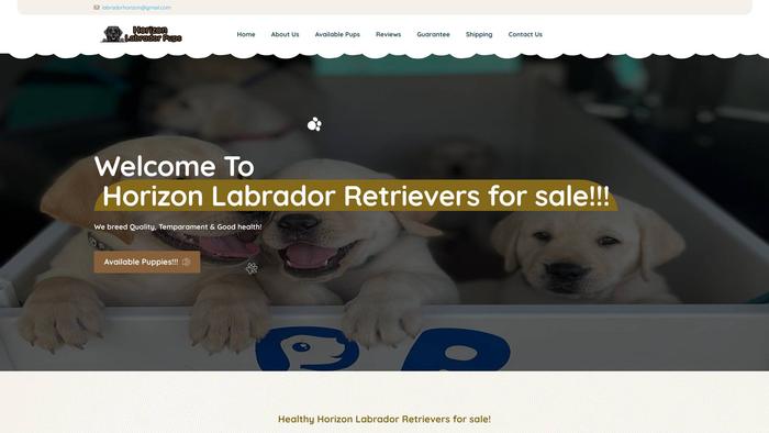 Horizonlabrador.com - Golden Retriever Puppy Scam Review