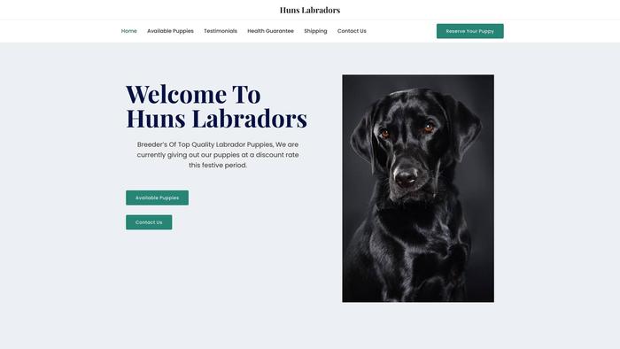 Hunslabradors.com - Labrador Puppy Scam Review