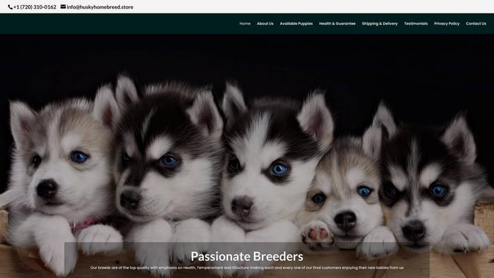 Huskyhomebreed.store - Husky Puppy Scam Review