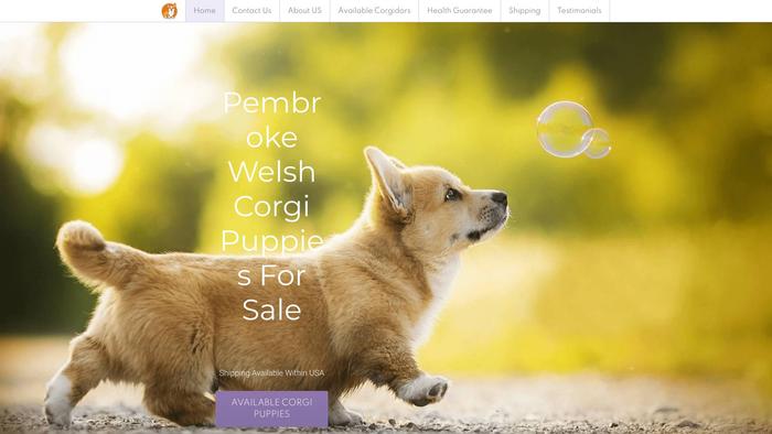 Iconicwelshcorgipuppies.com - Corgi Puppy Scam Review