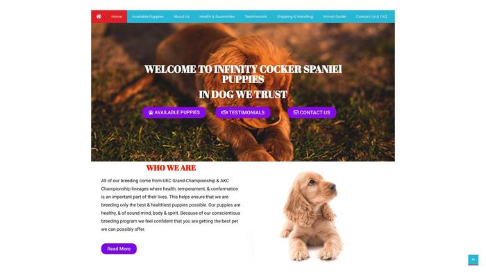 Infinitycockerspanielpuppies.com - Cockerspaniel Puppy Scam Review