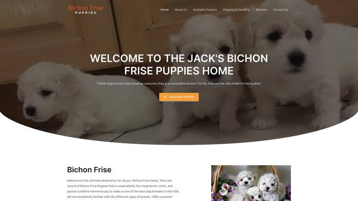 Jackbichonfrisepuppies.com - Bichon Frise Puppy Scam Review