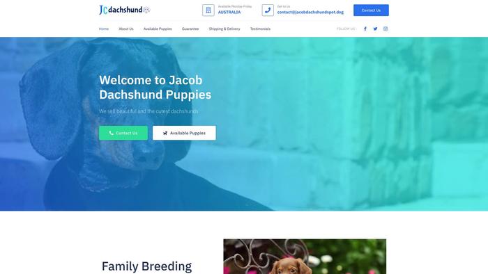 Jacobdachshundspot.dog - Dachshund Puppy Scam Review