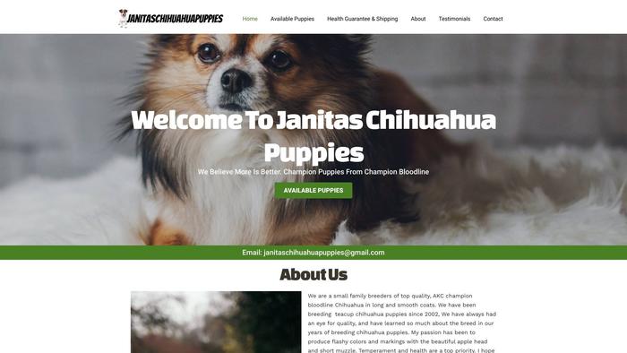 Janitaschihuahuapuppies.com - Chihuahua Puppy Scam Review