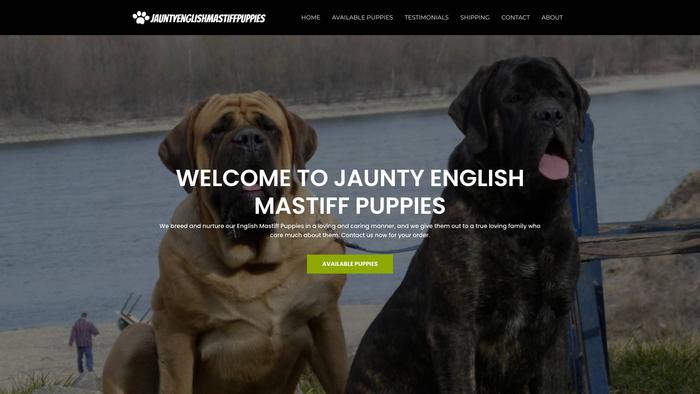 Jauntyenglishmastiffpuppies.com - Tibetan Mastiff Puppy Scam Review