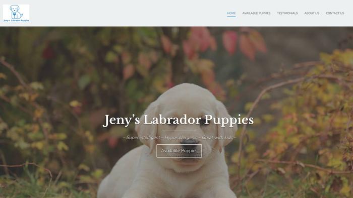 Jenyslabs-au.com - Labrador Puppy Scam Review