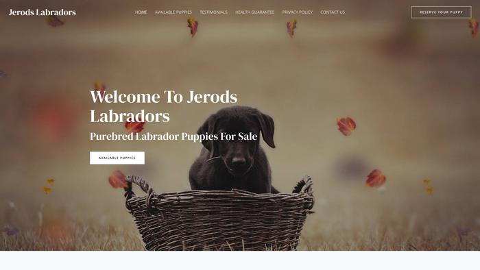 Jerodslabradors.com - Labrador Puppy Scam Review