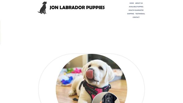 Jonlabradorpuppies.com - Labrador Puppy Scam Review