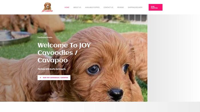 Joycavapoo.com - Cavapoo Puppy Scam Review